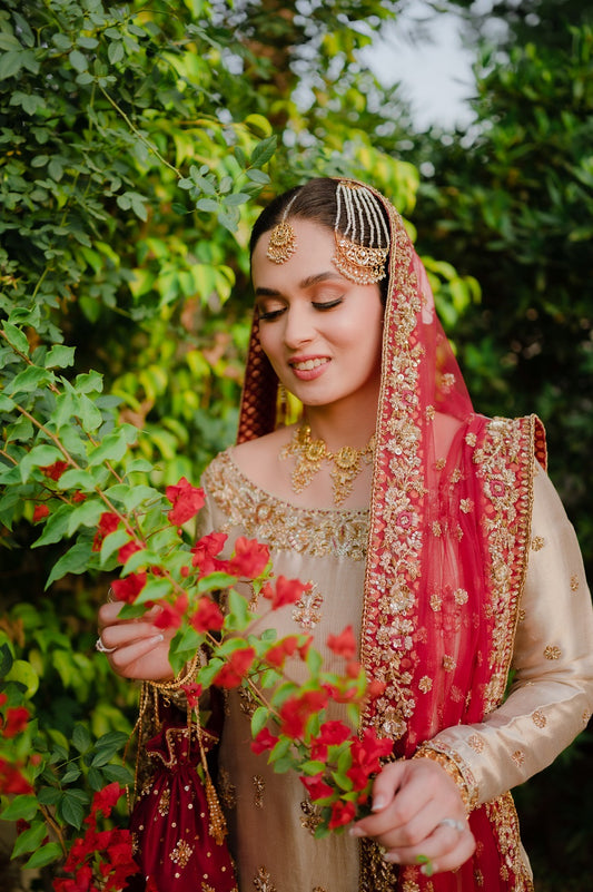 Bridal Diaries