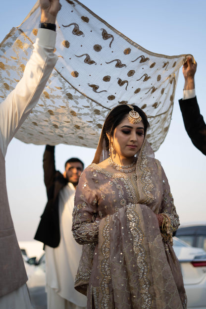 Bridal Diaries