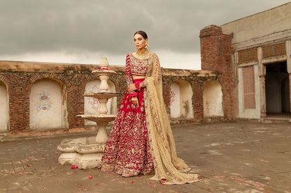 Gul-e-Rana