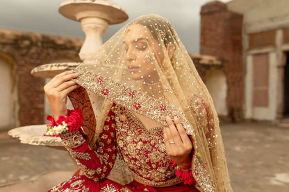 Gul-e-Rana