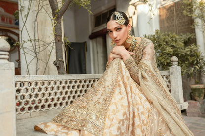 Noor