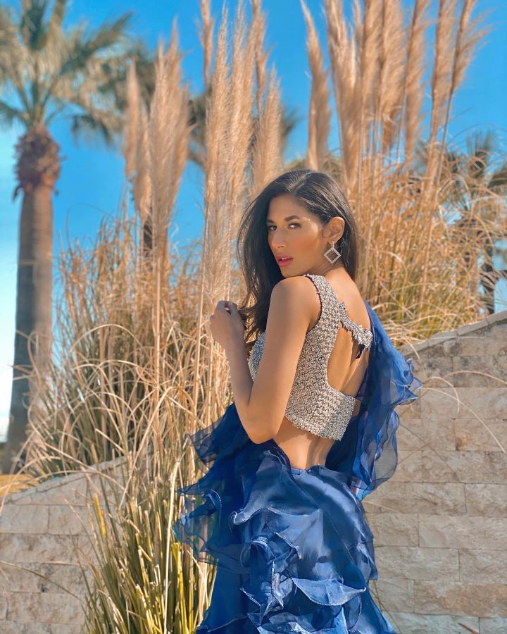 Blue Ruffle Sarri
